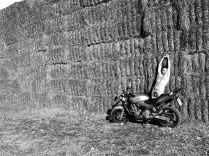 P1010993verbyn(minifirmada)