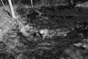 dsc_1892bynfirmadomini