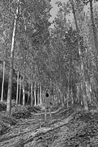 dsc_1932bynfirmadomini