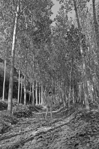 dsc_1934bynfirmadomini